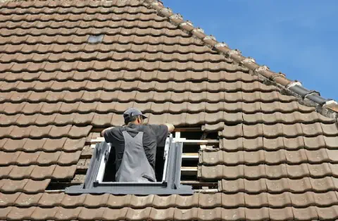 Pose de velux - Binges